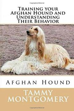 portada Training your Afghan Hound and Understanding Their Behavior