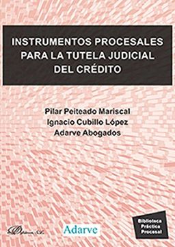 portada Instrumentos Procesales Para la Tutela Judicial de Credito (in Spanish)
