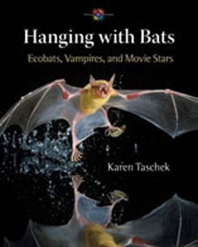 portada Hanging With Bats: Ecobats, Vampires, and Movie Stars (Barbara Guth Worlds of Wonder Science Series for Young Readers) (in English)