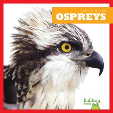 portada Ospreys (en Inglés)