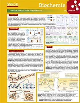 portada Lerntafel: Biochemie im Überblick (Lerntafeln Biologie) (en Alemán)