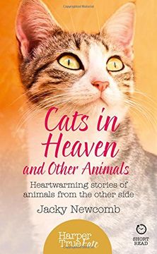 portada Cats in Heaven (Harpertrue Fate - A Short Read)
