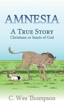 portada Amnesia: A True Story: Christians or Saints of God (in English)