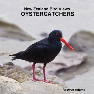 portada New Zealand Bird Views: Oystercatchers (en Inglés)