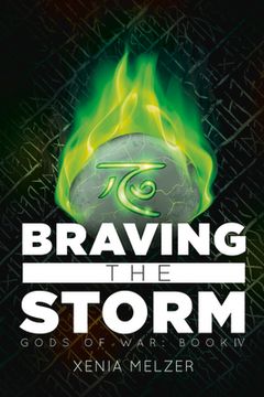 portada Braving the Storm: Volume 4 (in English)