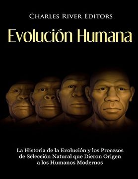 portada Evolución Humana: La Historia de la Evolución y los Procesos de Selección Natural que Dieron Origen a los Humanos Modernos (in Spanish)