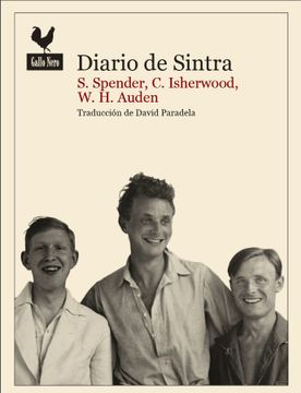portada Diario de Sintra (in Spanish)