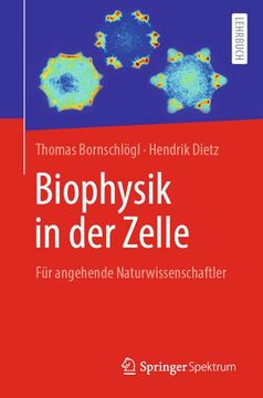 portada Biophysik in der Zelle: Für Studierende der Naturwissenschaften (en Alemán)