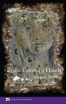 portada In the Curator's Hands