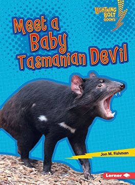 portada Meet a Baby Tasmanian Devil - Baby Australian Animals - Lightning Bolt (Lightning Bolt Books Baby Australian Animals) 