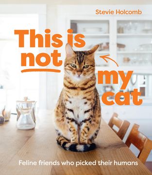 portada This Is Not My Cat: Feline Friends Who Picked Their Humans