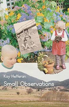 portada Small Observations (in English)