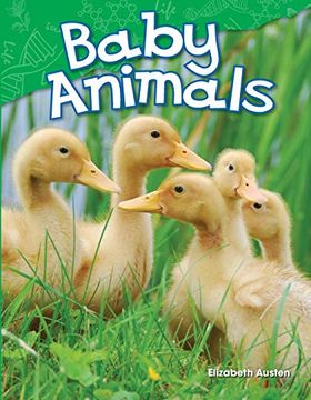 portada Teacher Created Materials - Science Readers: Content and Literacy: Baby Animals - Grade k - Guided Reading Level a (en Inglés)
