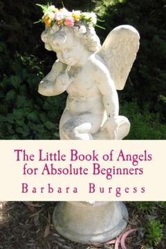 portada The Little Book of Angels for Absolute Beginners