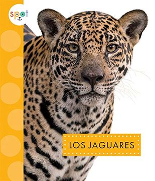portada Los Jaguares (Gatos Salvajes