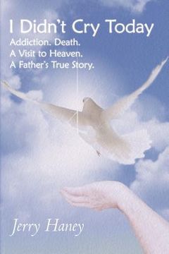 portada i didn ` t cry today: addiction. death. a visit to heaven. a father ` s true story (in English)