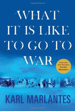 portada What it is Like to go to war (in English)