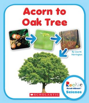 portada Acorn to oak Tree (Rookie Read-About Science) (en Inglés)