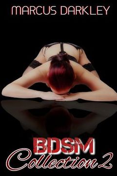 portada BDSM Collection 2 (in English)