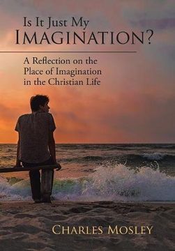 portada Is It Just My Imagination?: A Reflection on the Place of Imagination in the Christian Life