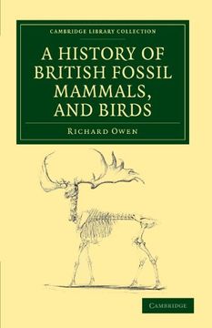 portada A History of British Fossil Mammals, and Birds Paperback (Cambridge Library Collection - Earth Science) 