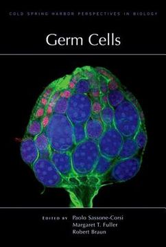portada Germ Cells (in English)