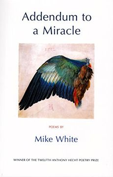 portada Addendum to a Miracle (in English)