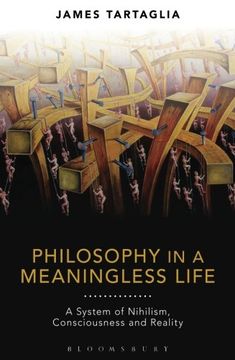 portada Philosophy in a Meaningless Life: A System of Nihilism, Consciousness and Reality