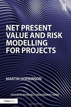 portada Net Present Value and Risk Modelling for Projects (en Inglés)