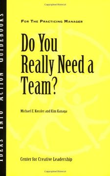 portada do you really need a team?