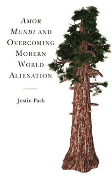 portada Amor Mundi and Overcoming Modern World Alienation (Religion and Science as a Critical Discourse) (en Inglés)