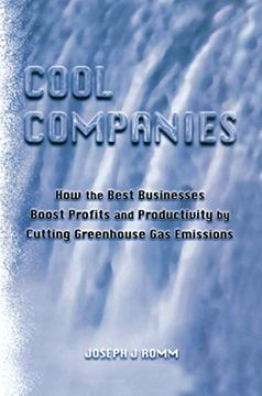 portada Cool Companies: How the Best Businesses Boost Profits and Productivity by Cutting Greenhouse Gas Emmissions (en Inglés)
