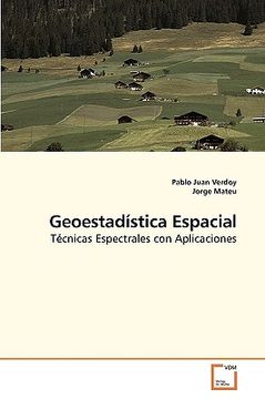 portada Geoestadstica Espacial (in English)