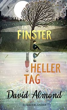 portada Ein Finsterheller tag (en Alemán)