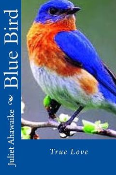 portada Blue Bird (en Inglés)