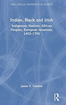 portada Indian, Black and Irish (New Critical Viewpoints on Society) (in English)