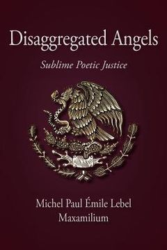 portada disaggregated angels