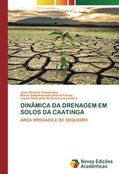 portada Dinâmica da Drenagem em Solos da Caatinga: Área Irrigada e de Sequeiro (en Portugués)