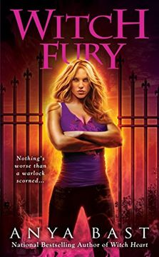 portada Witch Fury (Berkley Sensation) (en Inglés)