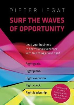 portada Surf the Waves of Opportunity