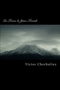portada La Tema de Juan Tozudo (Spanish Edition)