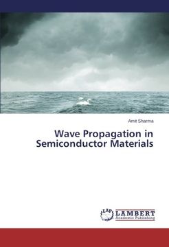 portada Wave Propagation in Semiconductor Materials