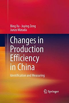 portada Changes in Production Efficiency in China: Identification and Measuring