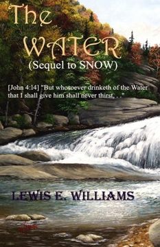 portada The Water: A Christian novel for the Young at Heart circa 1740: Volume 2 (The Colberts)