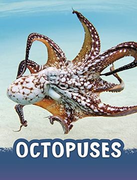 portada Octopuses 