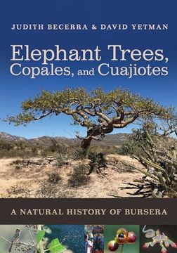 portada Elephant Trees, Copales, and Cuajiotes: A Natural History of Bursera (en Inglés)