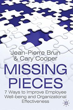 portada Missing Pieces: 7 Ways to Improve Employee Well-Being and Organizational Effectiveness (in English)