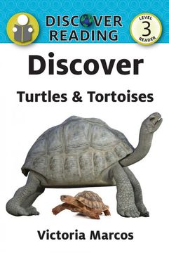 portada Discover Turtles & Tortoises (en Inglés)