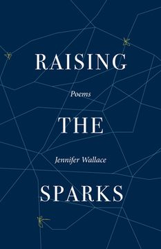 portada Raising the Sparks