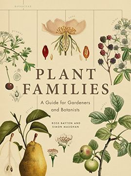 portada Plant Families: A Guide for Gardeners and Botanists (en Inglés)